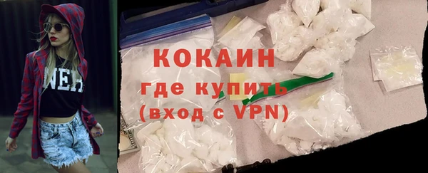 стаф Пересвет