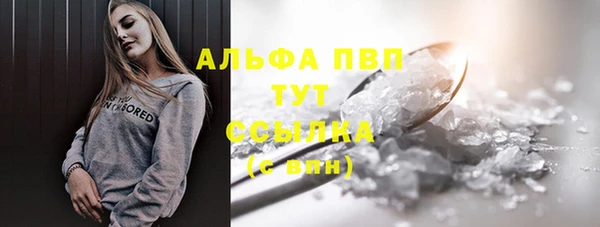 стаф Пересвет