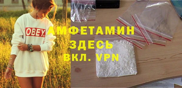 стаф Пересвет