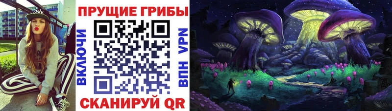 Галлюциногенные грибы Cubensis  мега сайт  Богучар 